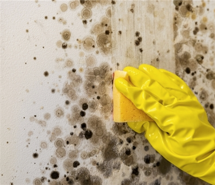 Mold on the wall that needs cleaning.