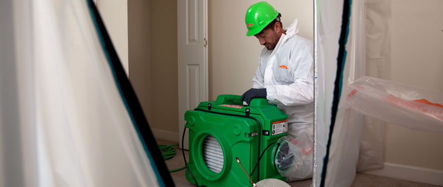 Metairie, LA mold cleanup