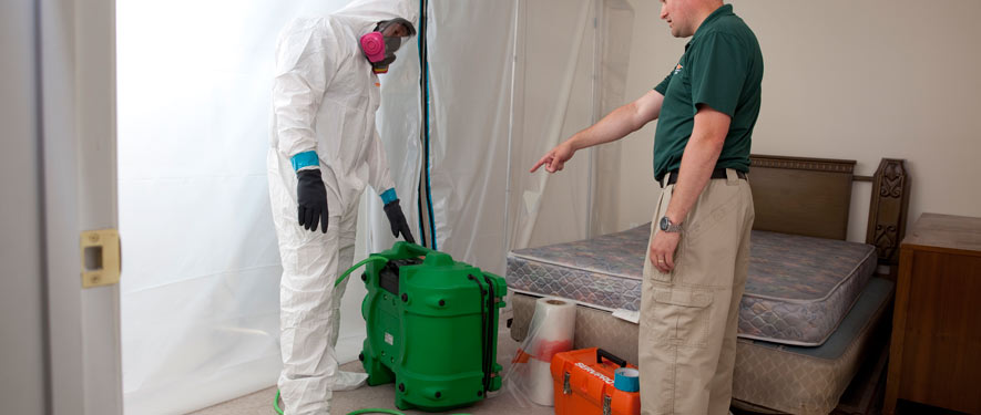 Metairie, LA mold removal process